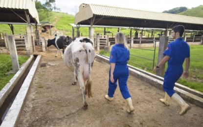 UFV e Prefeitura de Viçosa firmam parceria para auxiliar pequenos produtores de leite da Zona da Mata
