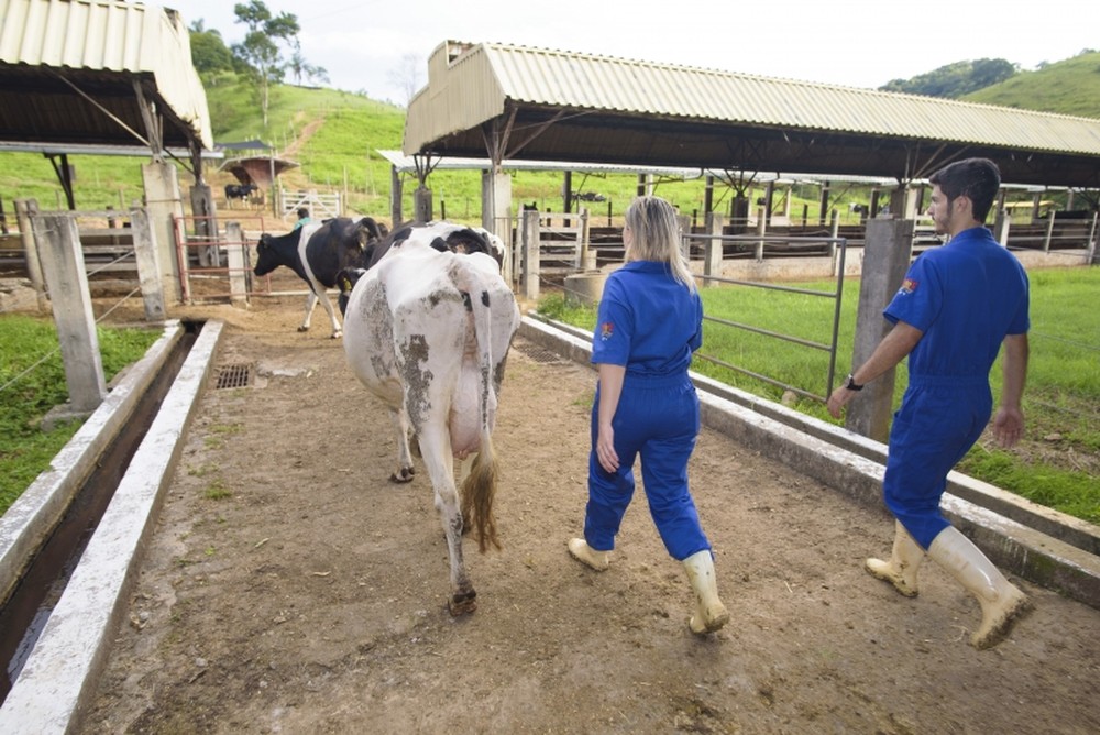 UFV e Prefeitura de Viçosa firmam parceria para auxiliar pequenos produtores de leite da Zona da Mata