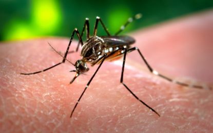Campanha veiculada no Leste do estado alerta sobre a gravidade da Chikungunya