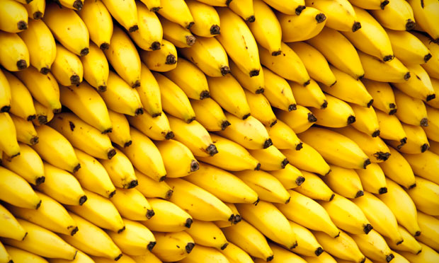 Minas Gerais se destaca na produção de banana com apoio do Governo do Estado