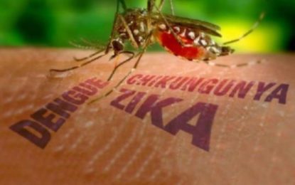 Boletim Epidemiológico de Monitoramento dos casos de Dengue, Chikungunya e Zika Vírus (17/07)