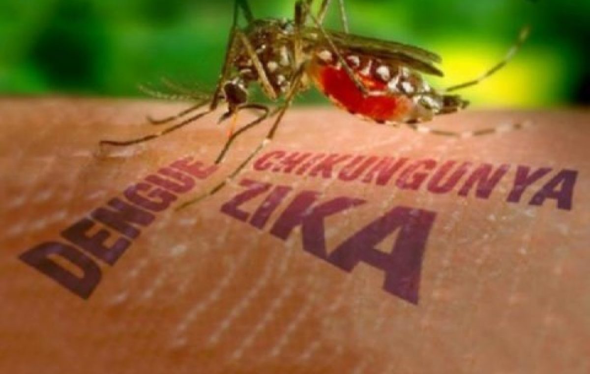 Boletim Epidemiológico de Monitoramento dos casos de Dengue, Chikungunya e Zika Vírus (17/07)