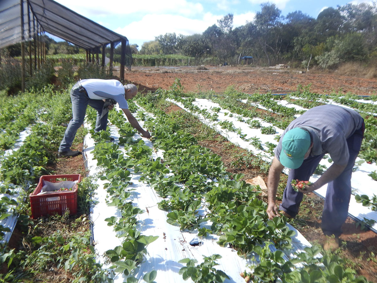 Encontro na Serra da Mantiqueira irá discutir a produção agroecológica