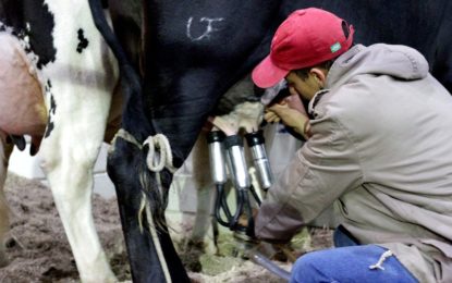 Encontro Regional reúne produtores de leite do Campo das Vertentes
