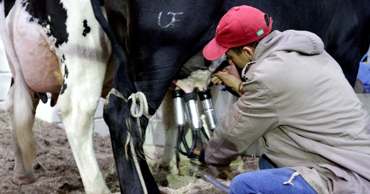 Encontro Regional reúne produtores de leite do Campo das Vertentes
