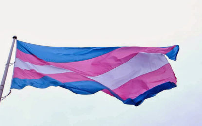 Minas Gerais institui Carteira de Nome Social para travestis e transexuais