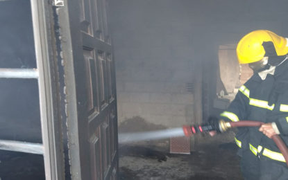Bombeiros combatem incêndio em residência em Santa Cruz de Minas