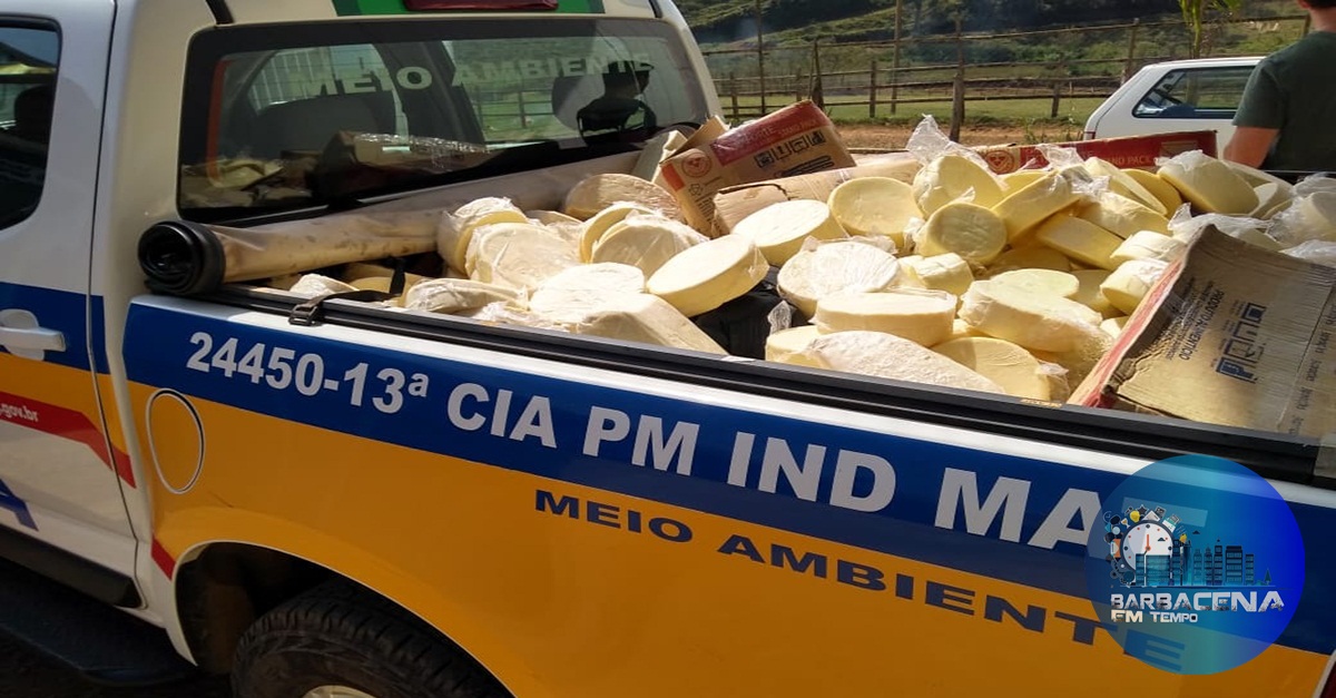 Fiscalização conjunta apreende cerca de 800 Kg de queijo em estágio avançado de putrefação.