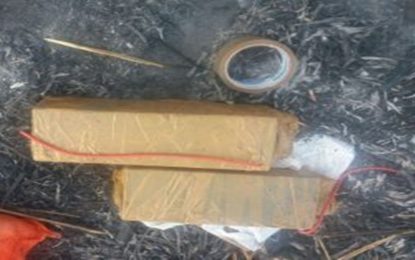 Cidadão encontra explosivos dentro de sacola à margem da BR-365 saída de Uberlândia
