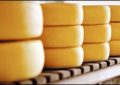 Destaque em Minas, queijo produzido no Serro ganha marca própria
