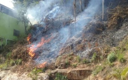 Polícia Militar de Meio Ambiente autua dono de terreno por incêndio florestal em Cipotânea
