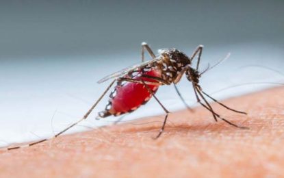 Casos prováveis de dengue no Sul de Minas superam os últimos cinco anos