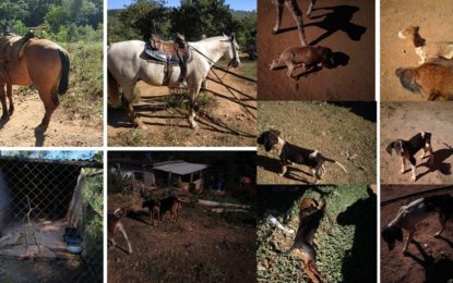 Polícia Militar de Meio Ambiente prende caçadores em flagrante em Nazareno