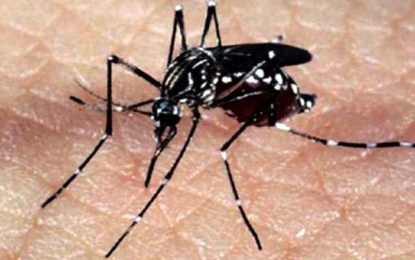 Chega a 10 o número de óbitos por dengue em Juiz de Fora