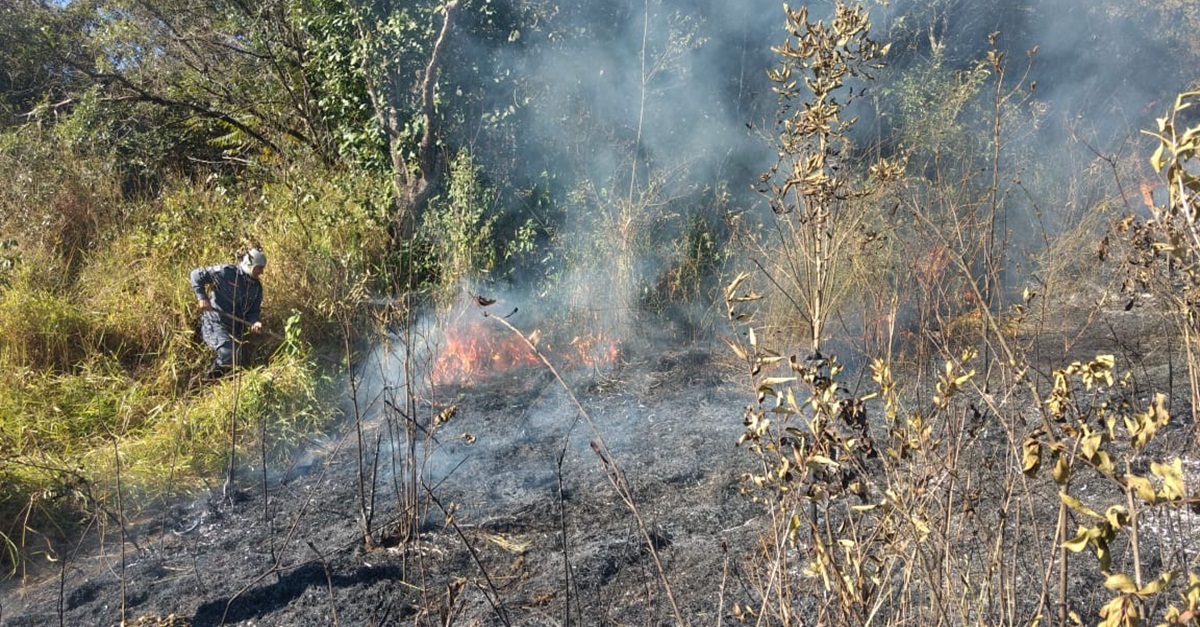 Incêndio atinge vegetação no Bairro Floresta em Barbacena