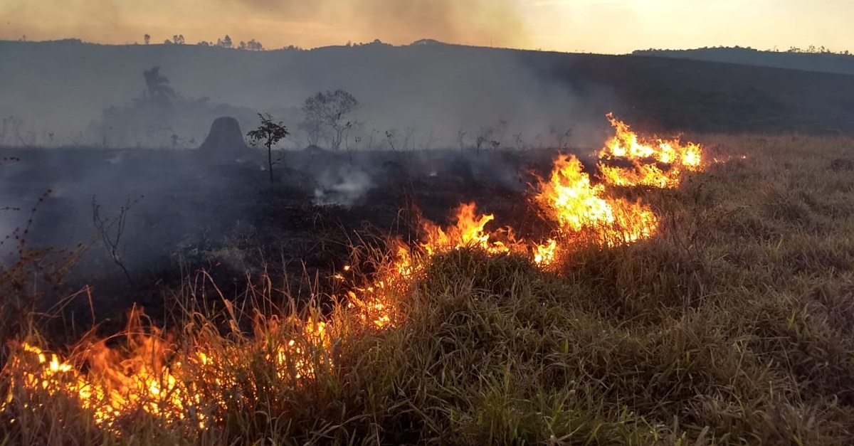 Incêndios em vegetação continuam em toda a região
