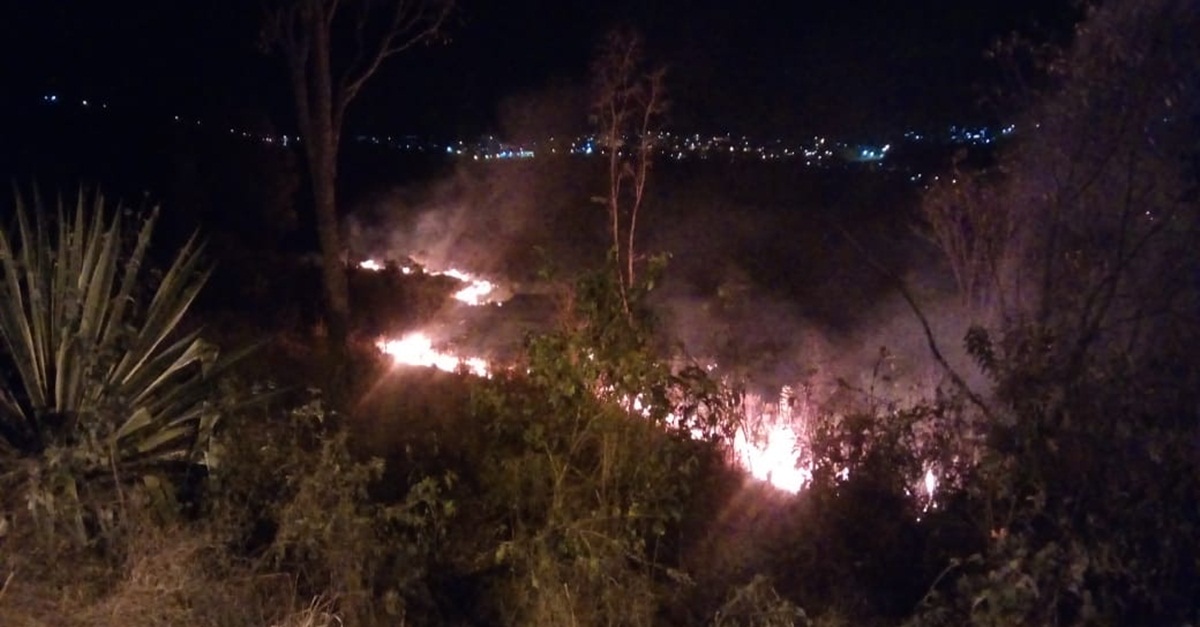 Incêndios em vegetação marcam o domingo em Barbacena