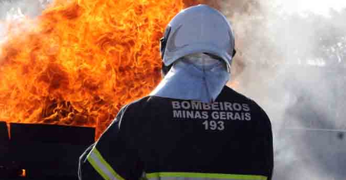 Incêndios em áreas de vegetação aumentam mais de 31% em Minas