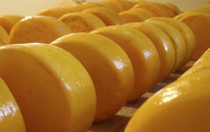 Governo de Minas faz a primeira entrega do Selo Arte a produtores de queijos artesanais