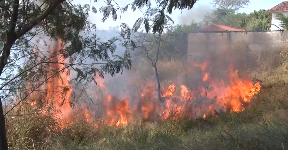 Pesquisa demonstra que queimadas aumentaram 77% em Minas