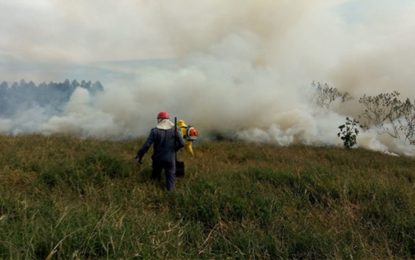 Bombeiros de Barbacena registram quatro ocorrências de incêndio em matas, somente ontem