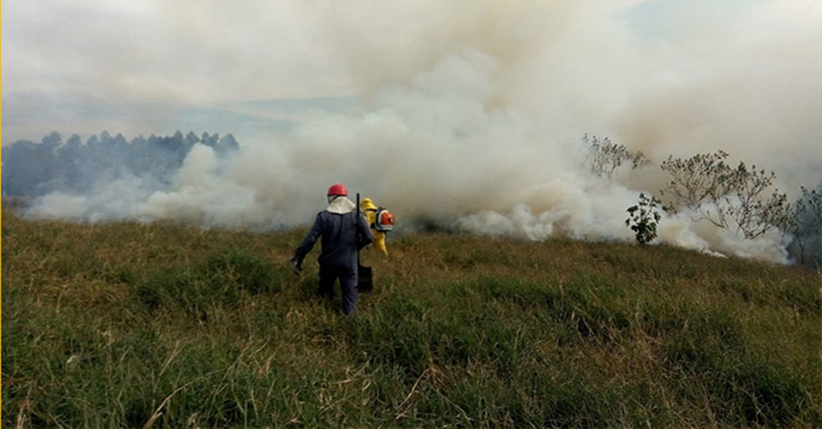 Bombeiros de Barbacena registram quatro ocorrências de incêndio em matas, somente ontem