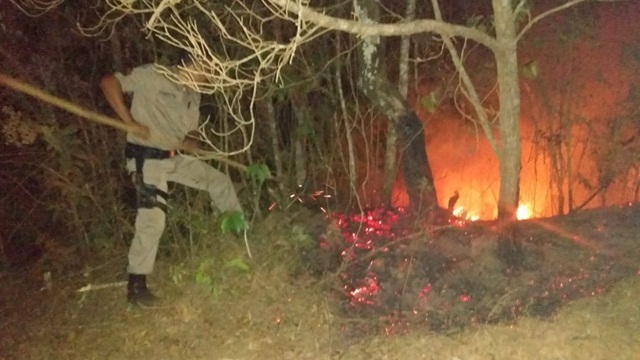 Polícia Militar prende três autores que provocaram queimadas no Parque Estadual de Itatiaia, em Ouro Branco
