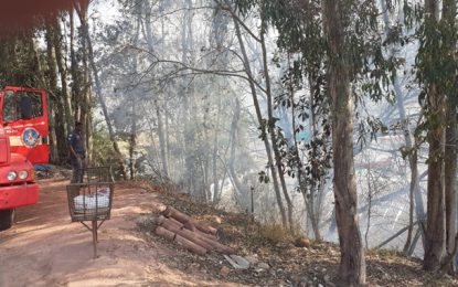 Incêndios em vegetação movimentaram o domingo em Barbacena
