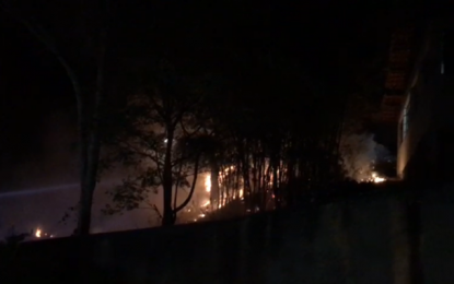 Incêndio atinge vegetação em area escolar em São João Del-Rei