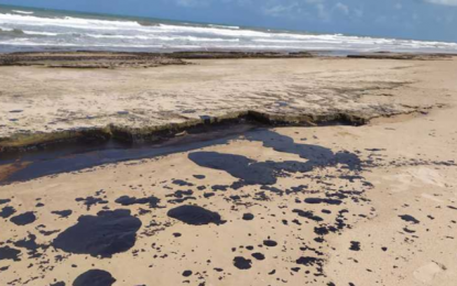 PROCON: Consumidores podem cancelar ou remarcar viagem, sem multas, para praias atingidas por mancha de óleo