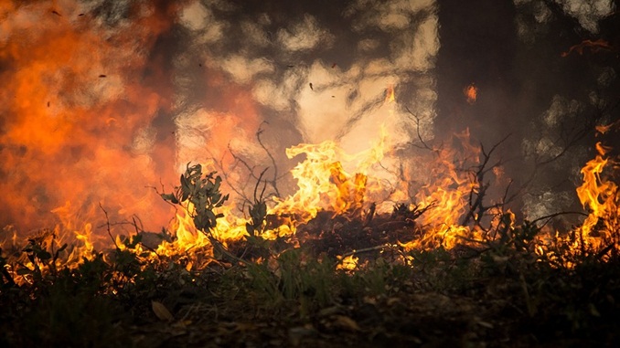 Incêndio em Montes Claros destrói 150 hectares de vegetação