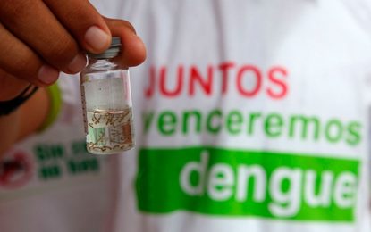 É hora de agir contra mosquito da dengue, zika e chikungunya