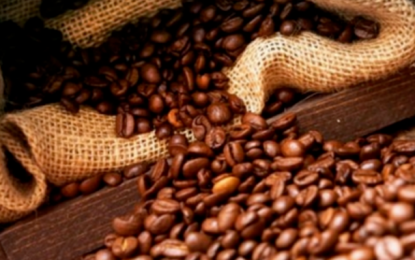 Preços do café arábica e robusta em queda, nesta terça-feira (5)