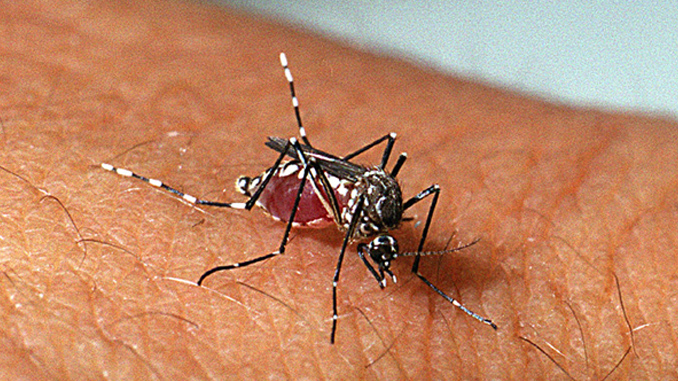 Casos de dengue seguem controlados em Barbacena