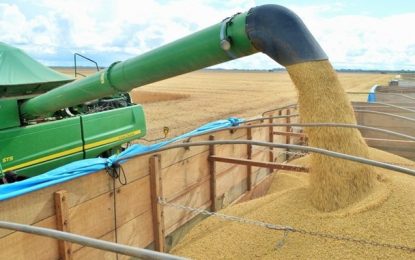 Safra nacional de grãos de 2020 deve bater recorde de 240,9 milhões de toneladas