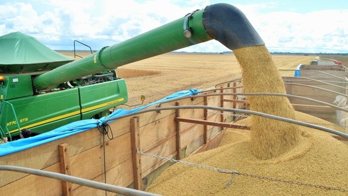 Safra nacional de grãos de 2020 deve bater recorde de 240,9 milhões de toneladas