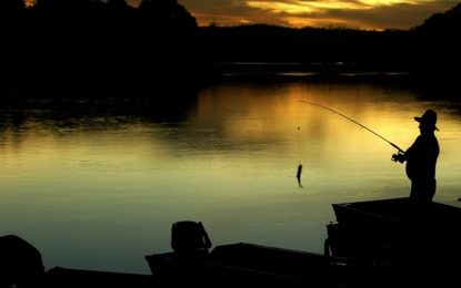 IEF altera as formas de emissão de Carteira de Pesca Amadora e Desportiva