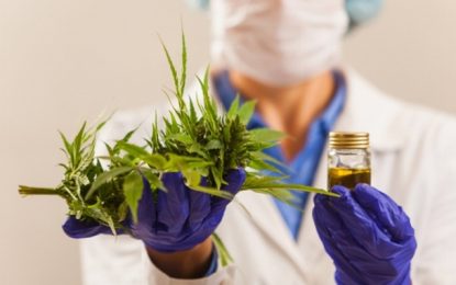 Fabricação e venda de medicamentos à base de Cannabis são aprovadas pela Anvisa