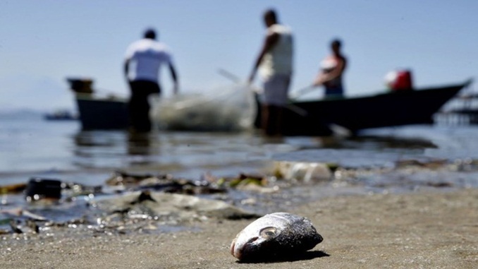 Pescadores afetados pela mancha de óleo começarão a receber auxílio emergencial nesta segunda-feira (16)