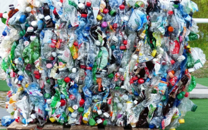 Lixo espalhado pela Rodovia Fernão Dias chega a acumular 200 toneladas por mês