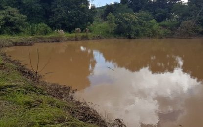 Com risco de represa transbordar, moradores de Florestal são retirados de casa