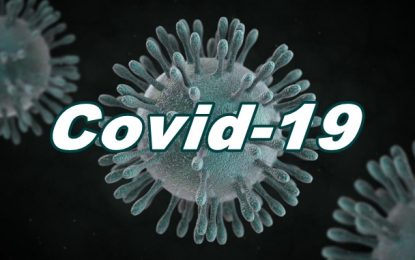 Brasil tem mais de 33 mil casos da Covid-19 e mortes passam de 2 mil