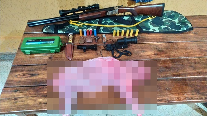 Porte ilegal de arma de fogo em concurso com caça de animal silvestre