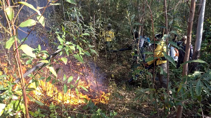 Bombeiros combatem incêndio em vegetação na Serra de São José, próximo a Santa Cruz de Minas