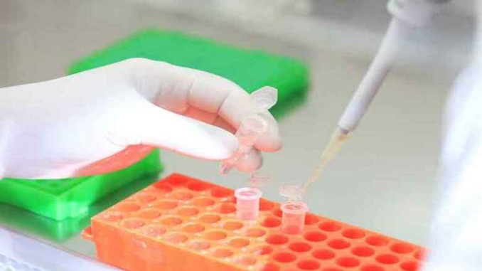 UFMG atua no desenvolvimento de vacina, novos testes e monitoramento do novo coronavírus
