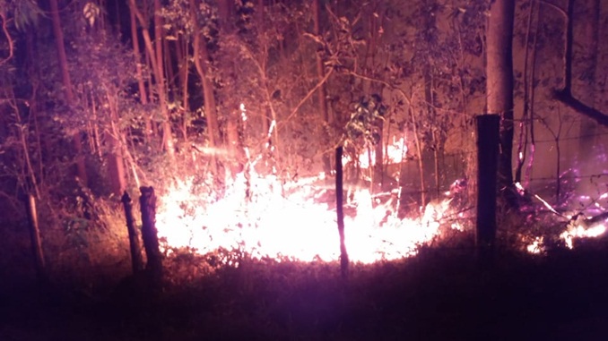 Bombeiros combatem mais de 10 incêndios em vegetação no final de semana na região
