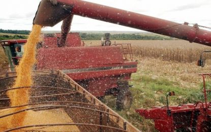 Estimativa de maio mantém recorde para safra de grãos em 2020, aponta IBGE