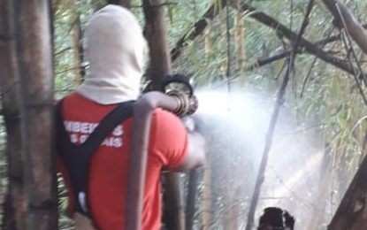 Incêndio em bambuzal ameaça residências e linha férrea no bairro Lobo Leite, em Congonhas