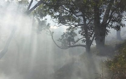 Incêndios em vegetação marcaram o domingo em Barbacena