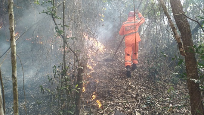 Domingo com registro de vários incêndios em vegetação na Região